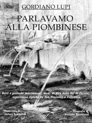 cover image of Parlavamo alla piombinese